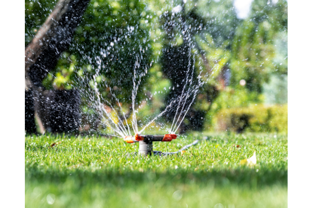 Bild von Regenwasser sammeln & auffangen ☀️ Ideen mit/ohne 