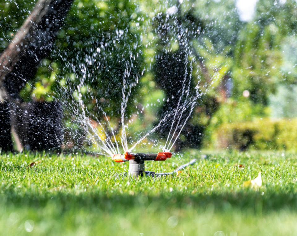 wassersprenkler im garten