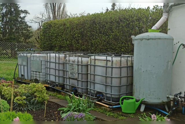 Bild von IBC Container verbinden (Regenwasser) ☀️ Anleitung